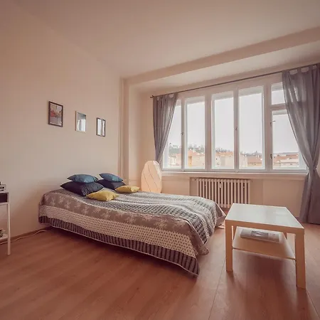 Apartment Vitkov Hill Views